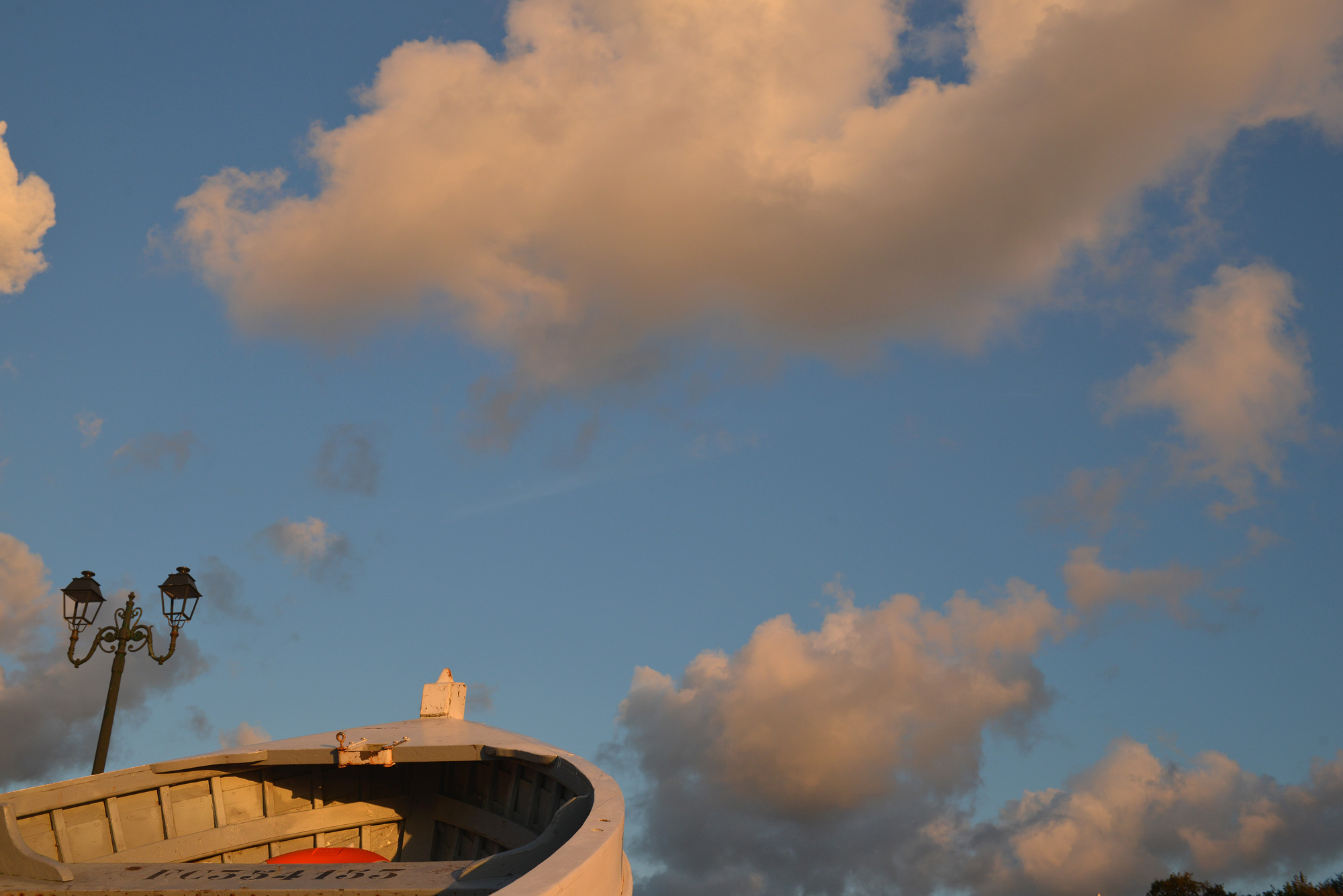 DSC_1234.jpg