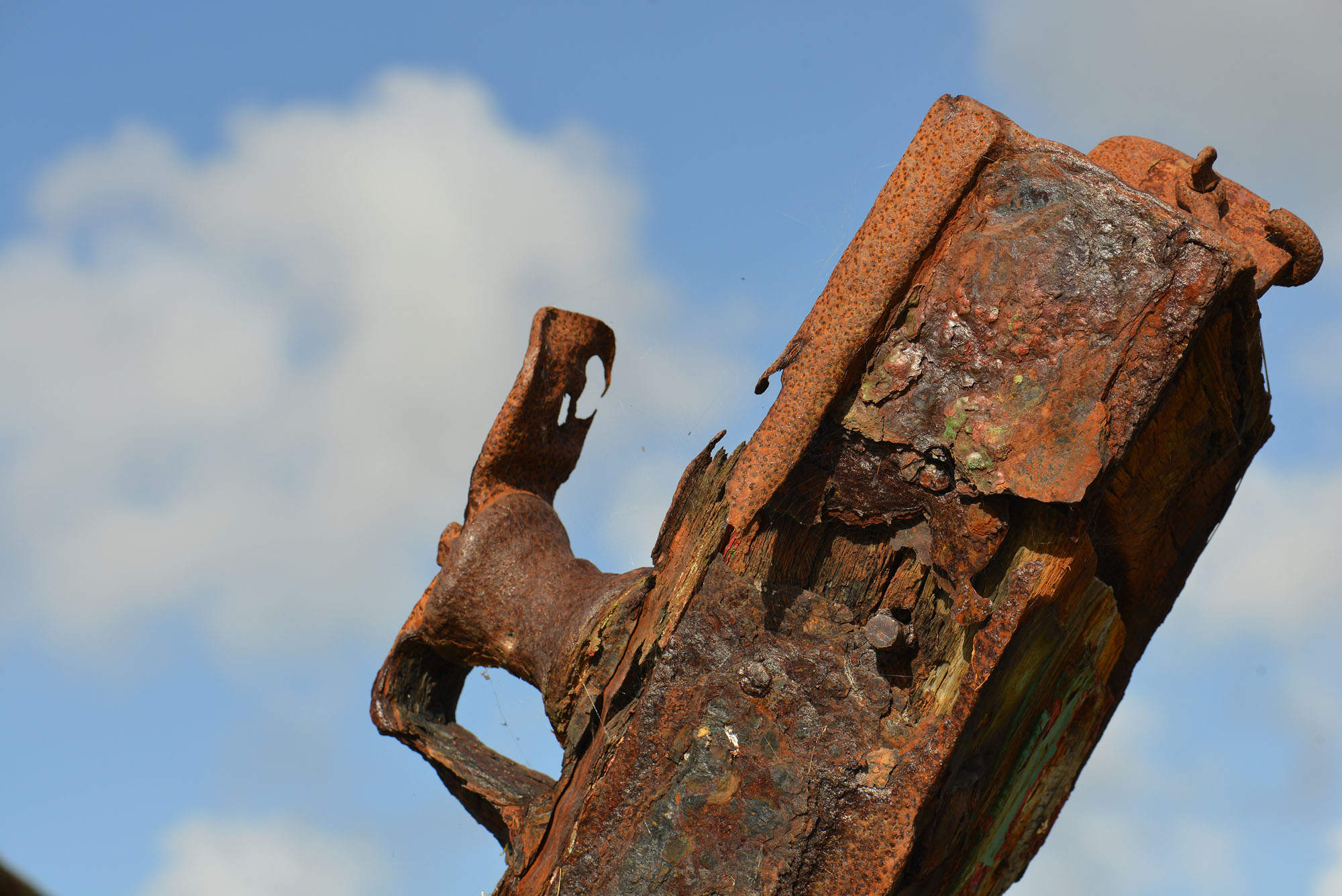 DSC_3039.jpg