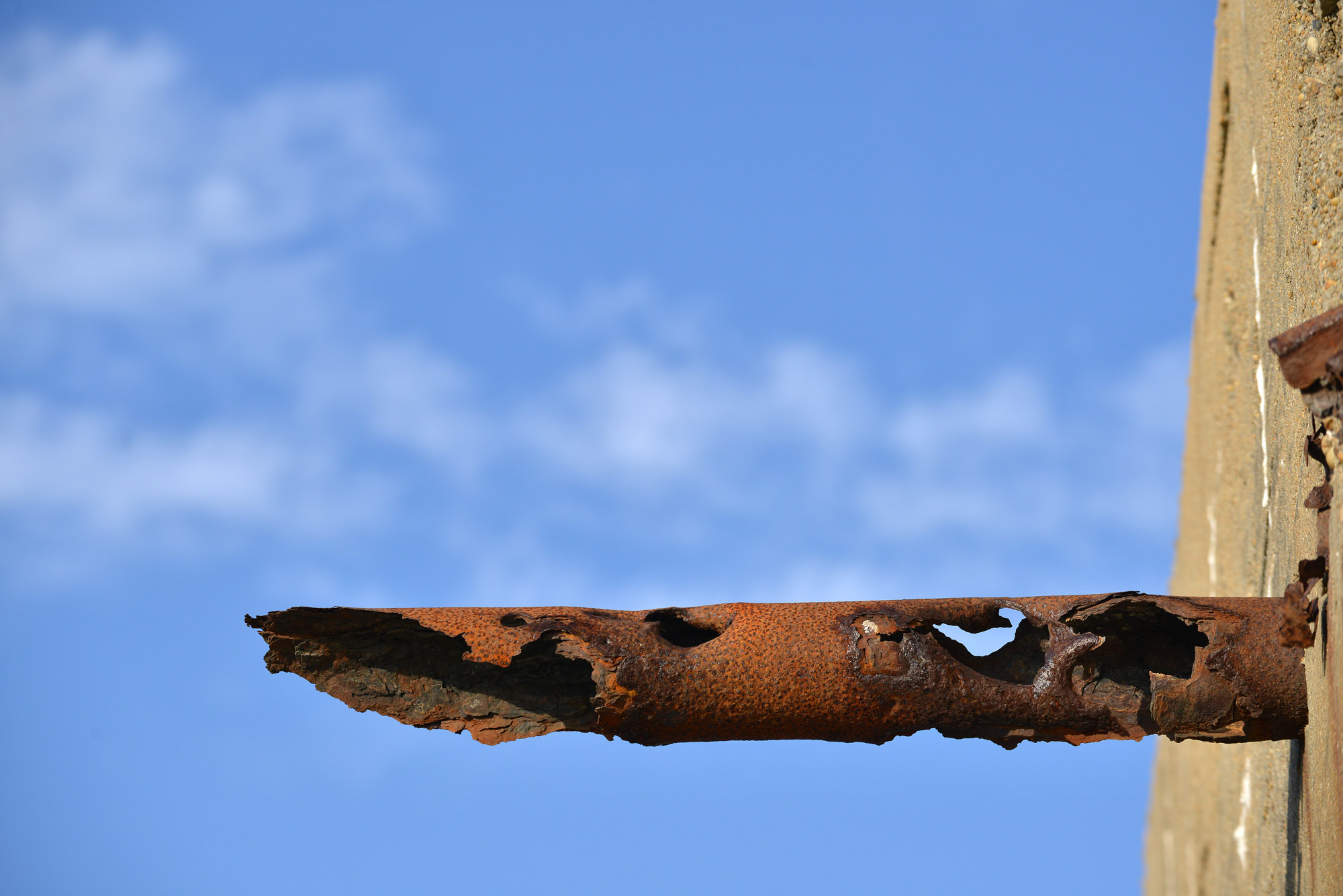 DSC_4498.jpg