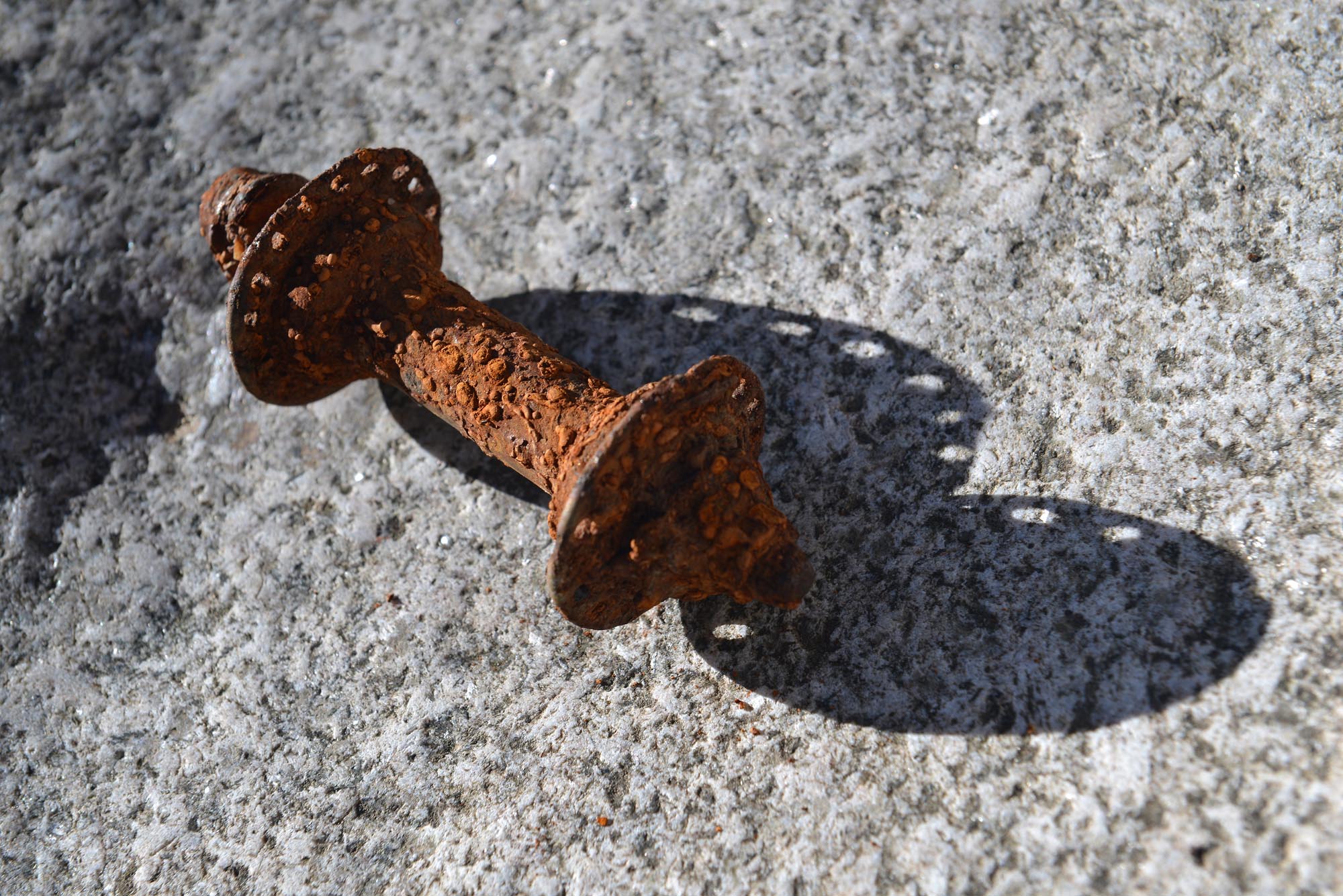 DSC_4712.jpg