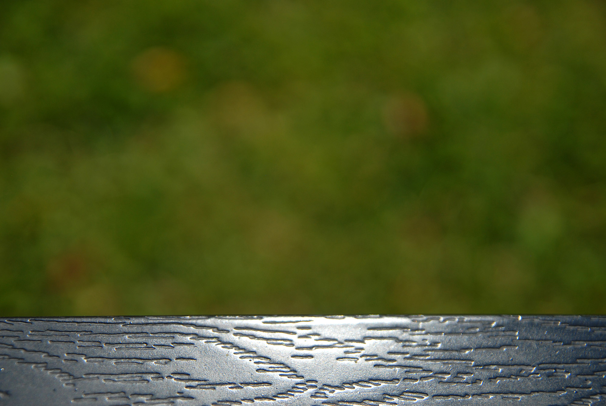 DSC_7177.jpg
