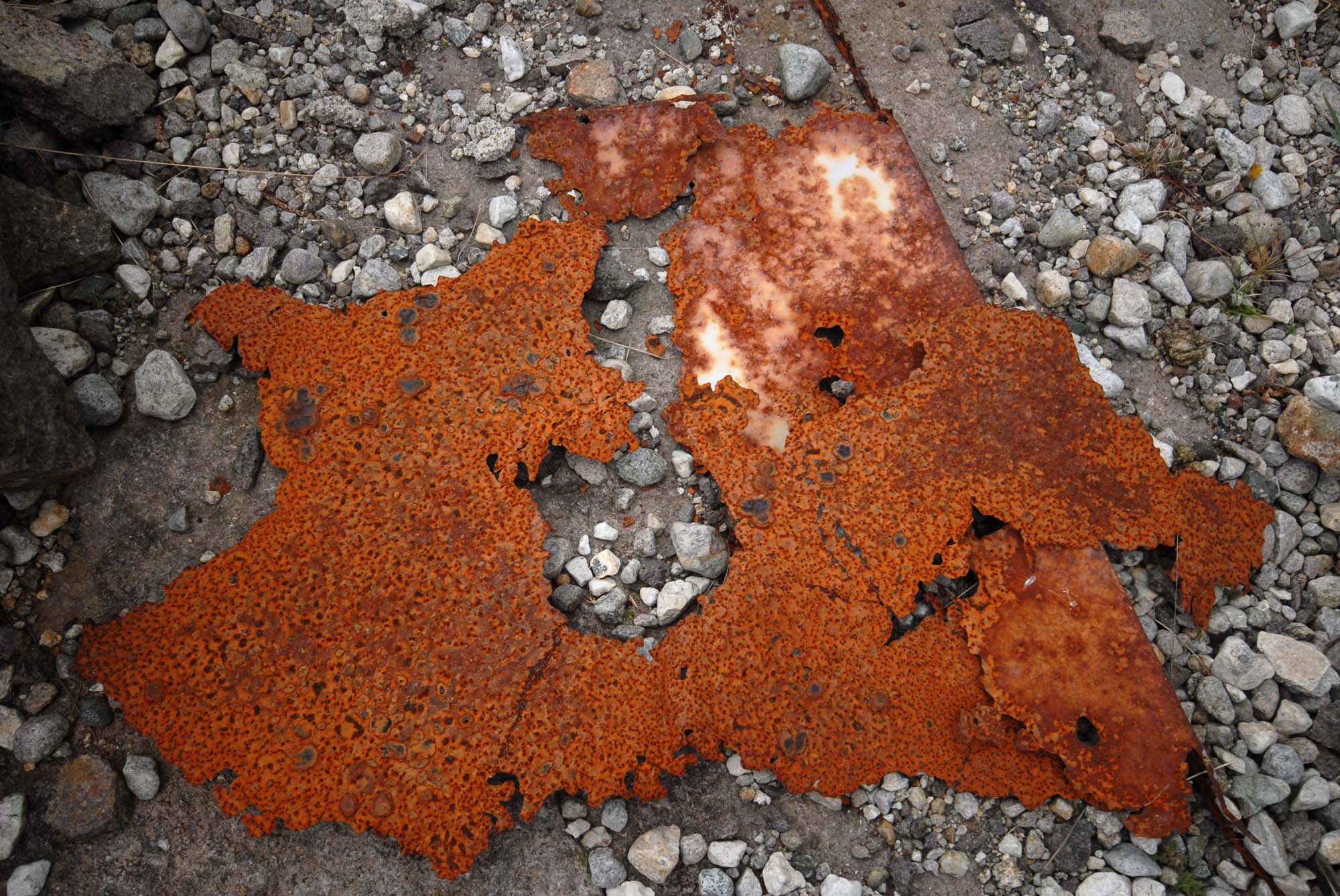 DSC_7839.jpg